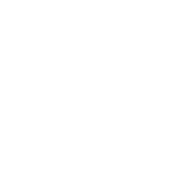 zigzag-moustache-1.png